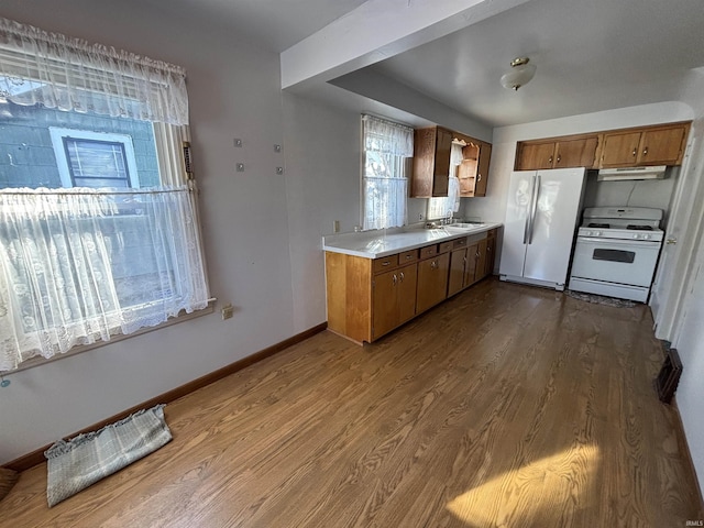 kitchen with hardwood / wood-style flooring, white appliances, and sink