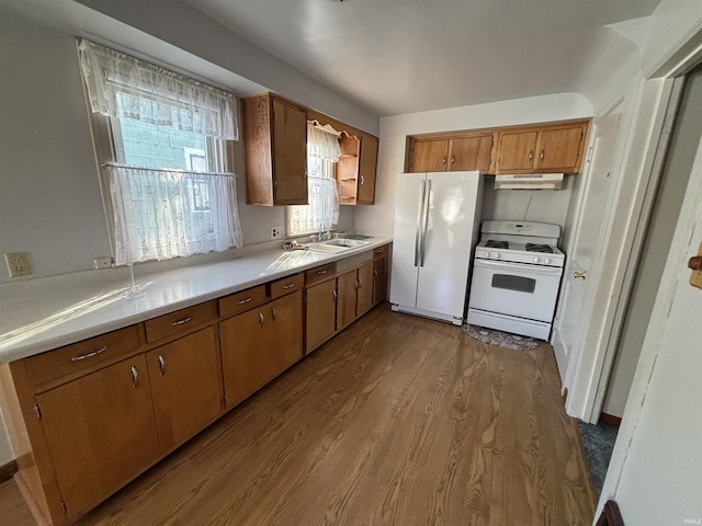 kitchen with wood-type flooring, sink, and white appliances