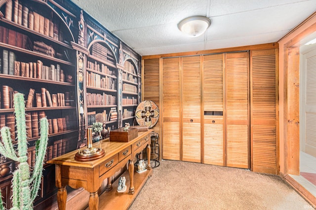 view of carpeted office space