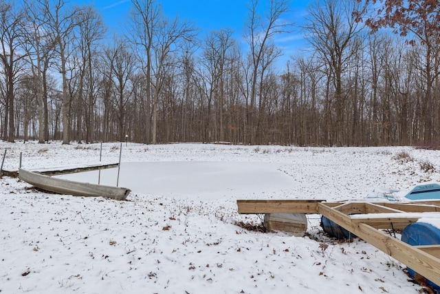 view of yard layered in snow