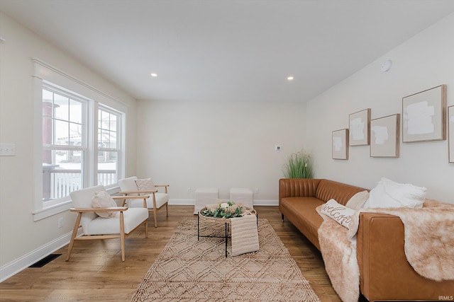 living room featuring hardwood / wood-style flooring