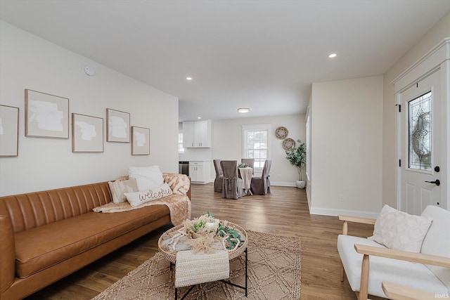 living room featuring hardwood / wood-style flooring