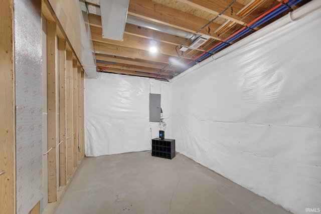 basement featuring electric panel