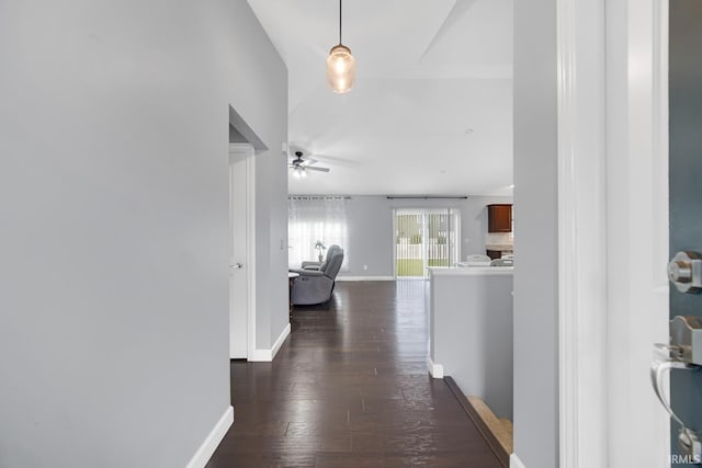 hallway featuring dark hardwood / wood-style flooring