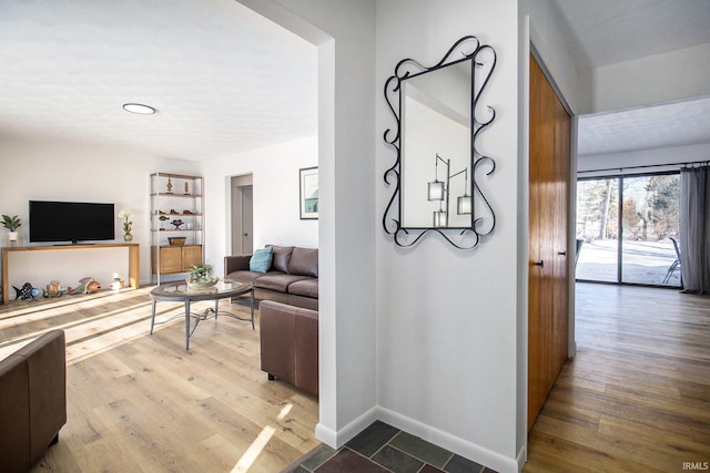 living room featuring wood-type flooring