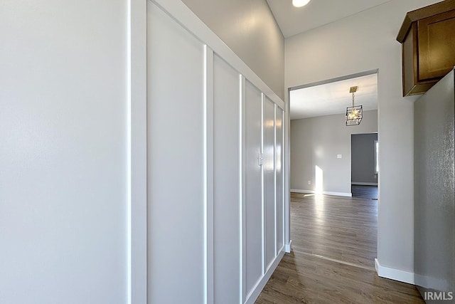 hallway with dark hardwood / wood-style floors