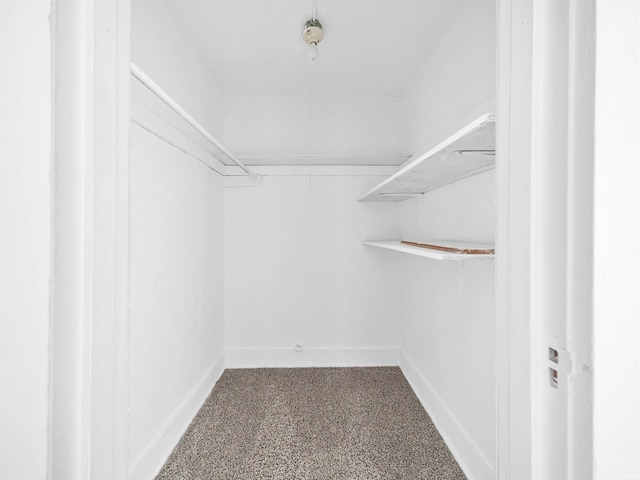 spacious closet featuring carpet flooring