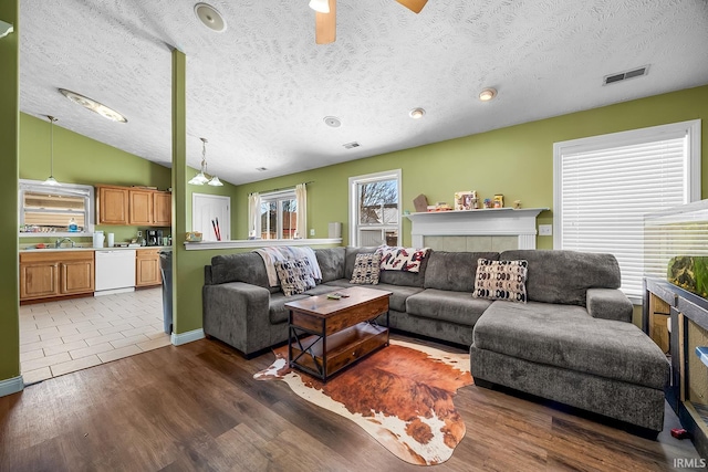 living room featuring lofted ceiling, a healthy amount of sunlight, a textured ceiling, and dark hardwood / wood-style flooring