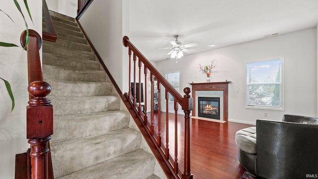 stairway with ceiling fan and wood-type flooring