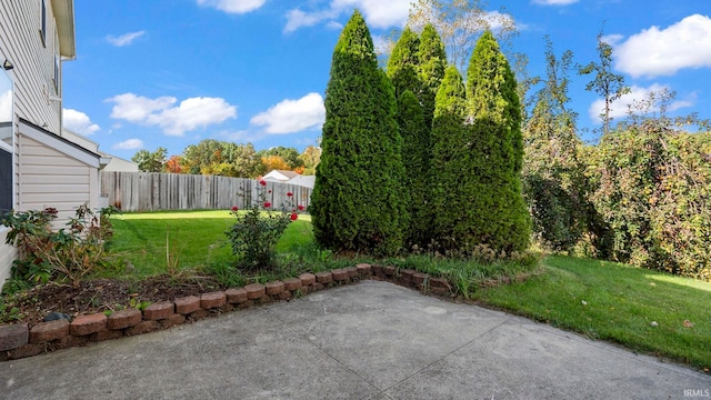 view of yard featuring a patio