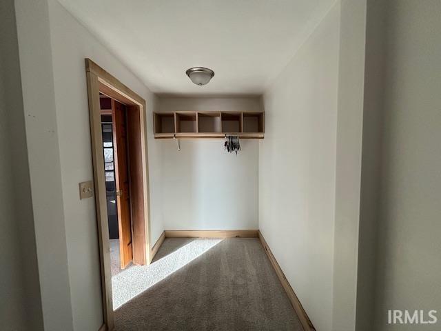 mudroom featuring carpet flooring