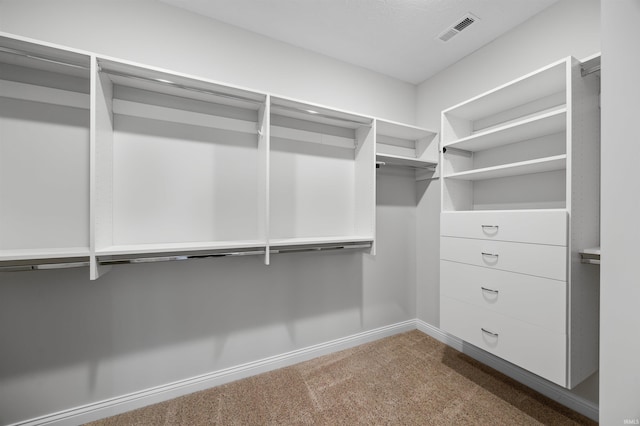 walk in closet featuring carpet