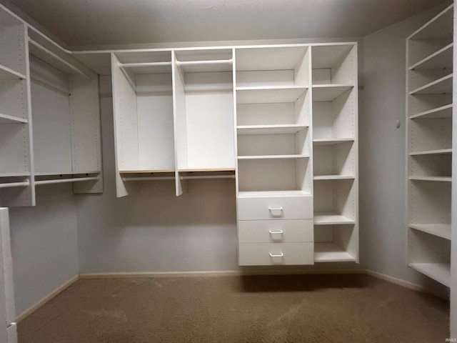 spacious closet with carpet flooring