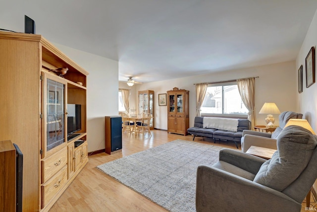 living room featuring light hardwood / wood-style floors