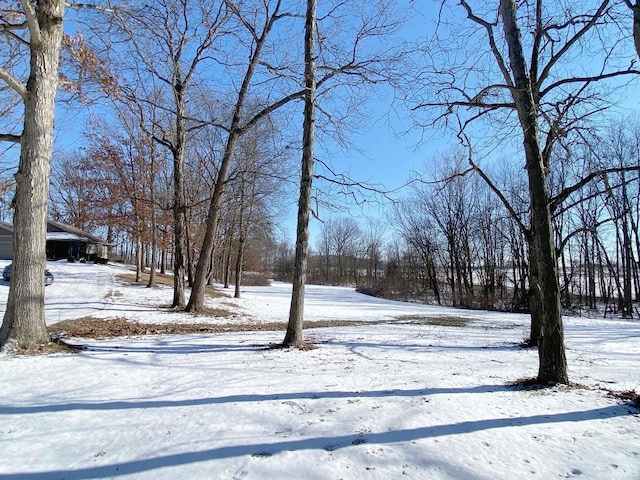 view of yard layered in snow