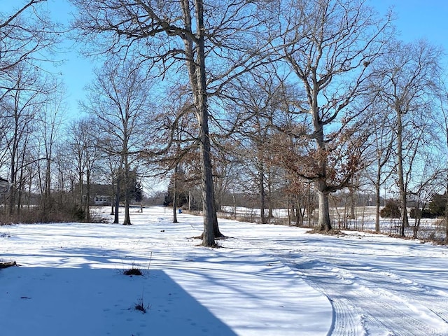 view of yard layered in snow