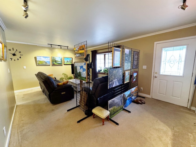 carpeted living room featuring crown molding and track lighting