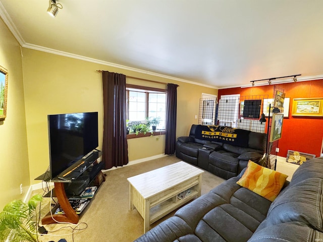 carpeted living room featuring crown molding and rail lighting