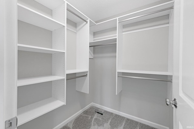 walk in closet with carpet flooring