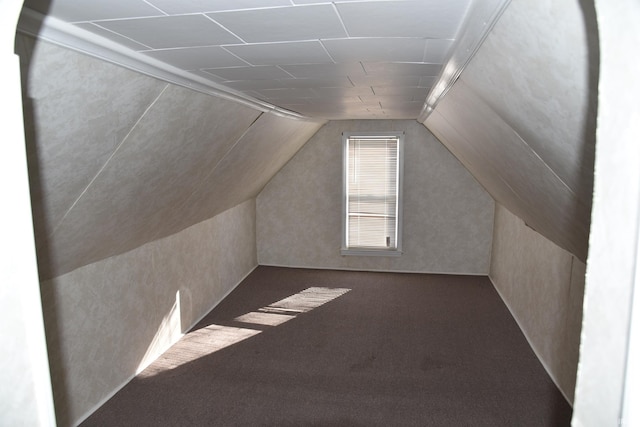 additional living space with vaulted ceiling and carpet