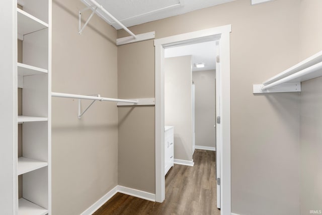 walk in closet with dark hardwood / wood-style flooring