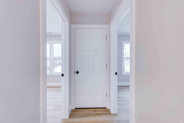 hall with light hardwood / wood-style flooring and plenty of natural light