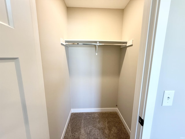 2360 Serenity Ct, Auburn, IN 46706 - walk in closet featuring carpet