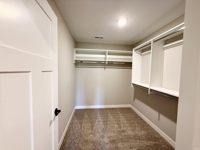 2360 Serenity Ct, Auburn, IN 46706 - walk in closet featuring carpet floors