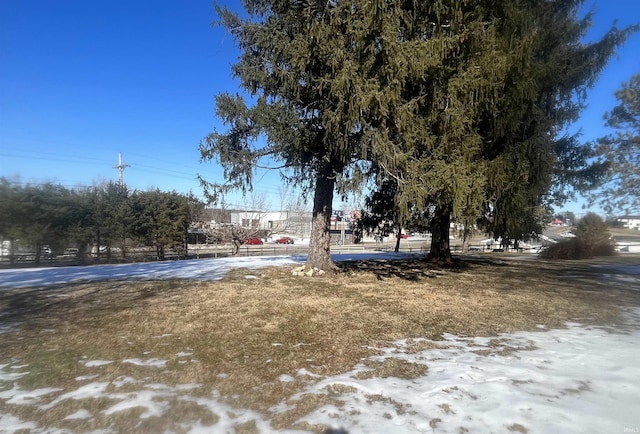 view of yard covered in snow