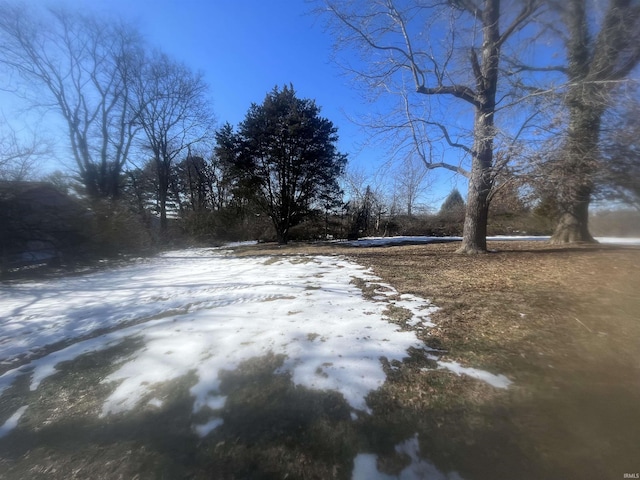 view of yard layered in snow