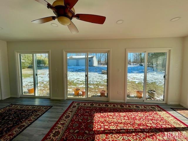 entryway with wood-type flooring and ceiling fan