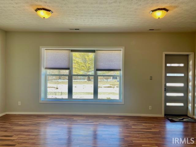 entrance foyer featuring a wealth of natural light, dark wood-type flooring, and a textured ceiling