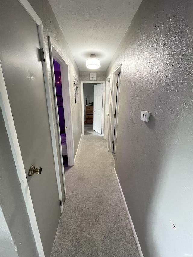 hall featuring light colored carpet and a textured ceiling