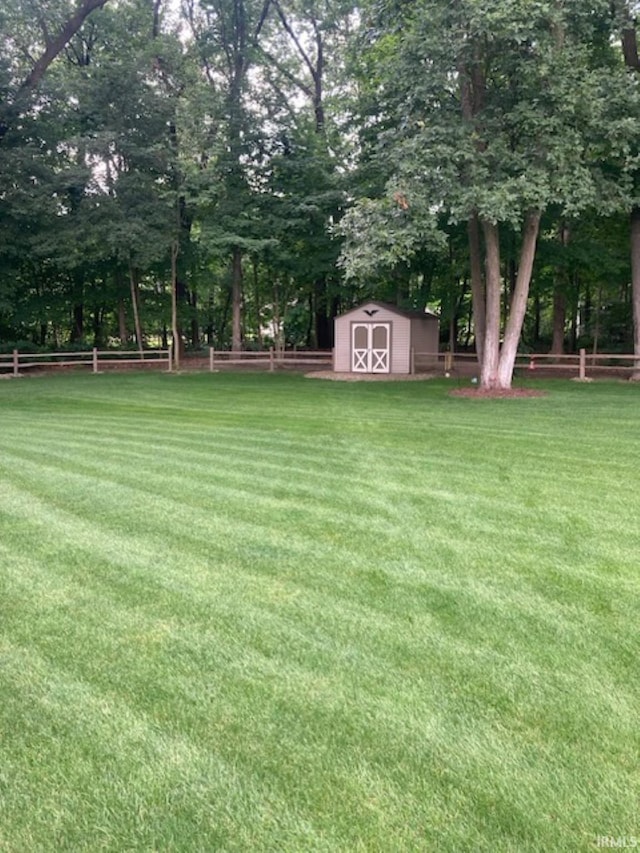 view of yard with a shed