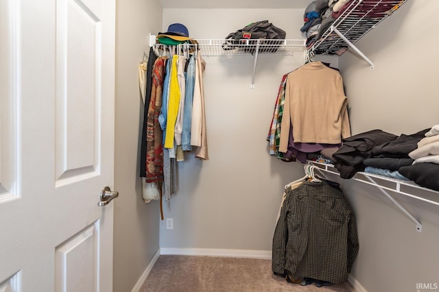 spacious closet featuring carpet