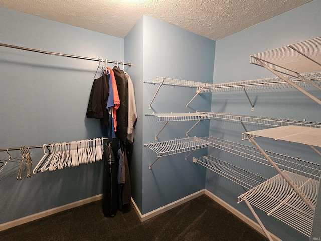 walk in closet featuring carpet