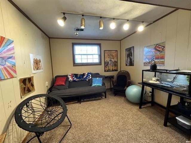 interior space featuring crown molding, carpet floors, and rail lighting