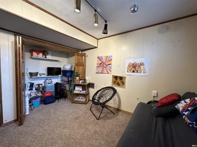 playroom with ornamental molding, carpet, and rail lighting