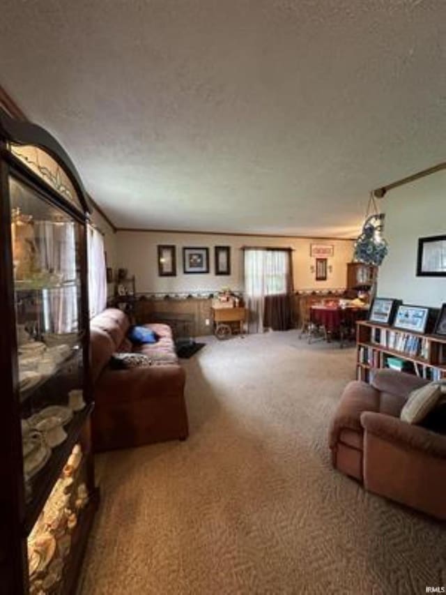 living room with ornamental molding, carpet flooring, and a textured ceiling