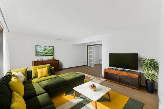 living room featuring hardwood / wood-style flooring