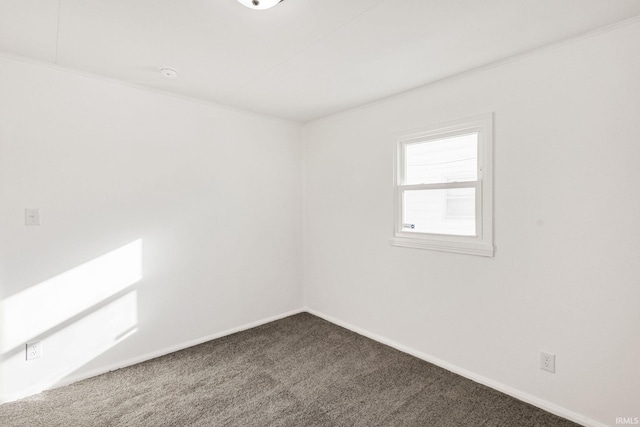 empty room featuring carpet