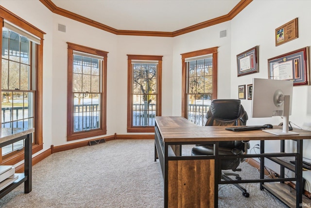 carpeted home office featuring ornamental molding