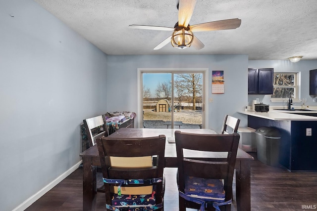 dining room featuring ceiling fan, dark hardwood / wood-style floors, sink, and a textured ceiling