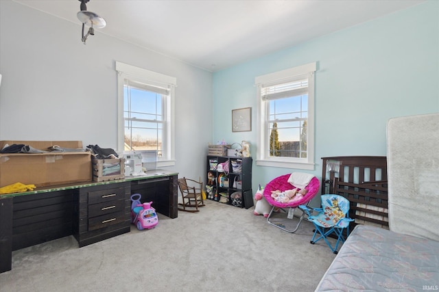 carpeted bedroom with multiple windows