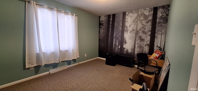 interior space featuring carpet and a textured ceiling