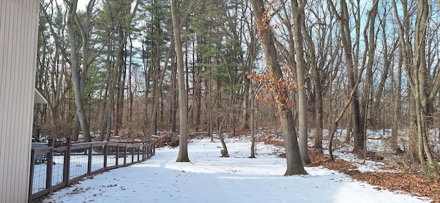 view of yard covered in snow