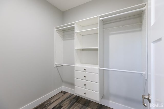 spacious closet with dark hardwood / wood-style floors