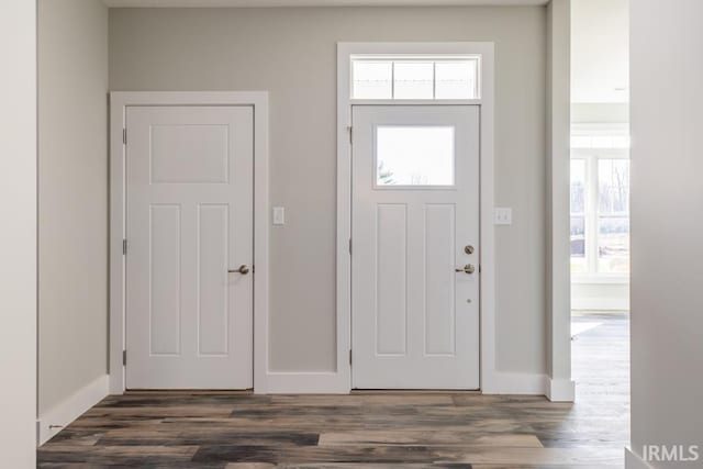 entryway featuring dark wood-type flooring and plenty of natural light