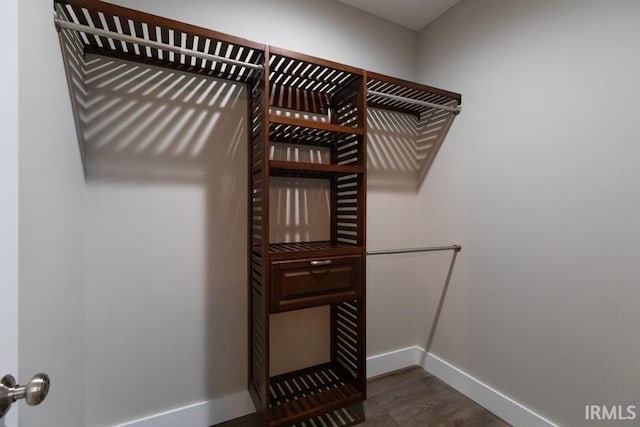 walk in closet featuring dark wood-type flooring