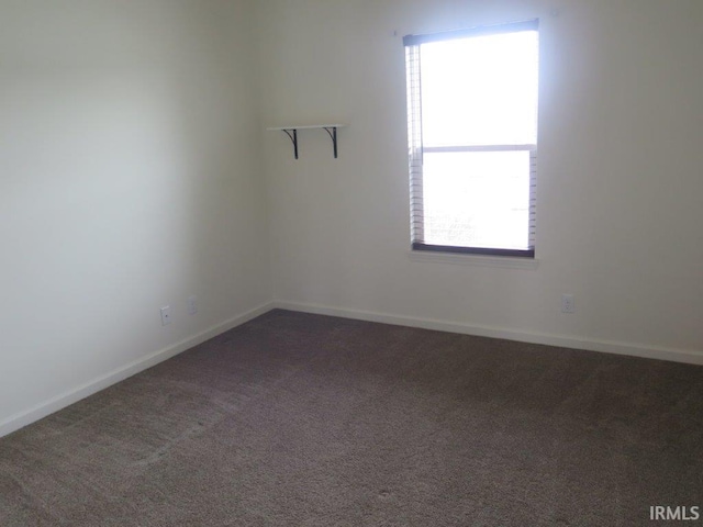 carpeted empty room featuring a healthy amount of sunlight